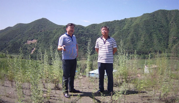 听取汇报.jpg