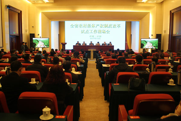 1会议现场.jpg