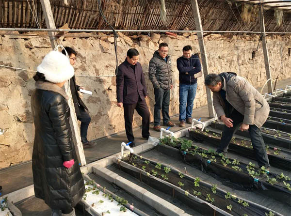 会议现场_600.jpg